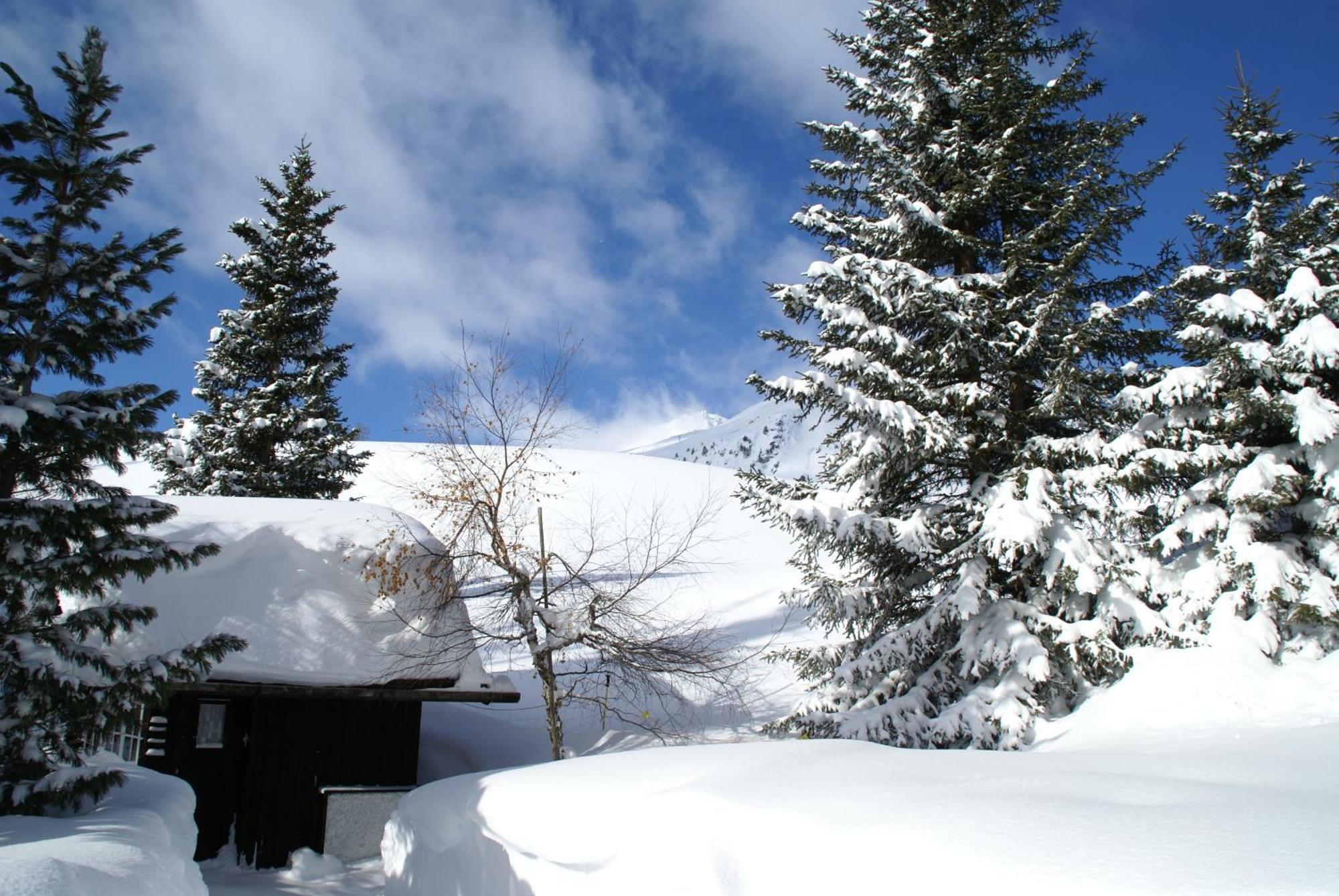 Chalet Baur Arosa Eksteriør bilde